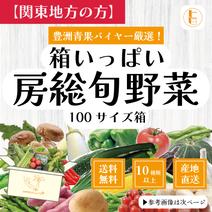 【関東へ配送の方】100サイズが圧倒的にお買得！箱いっぱい房総旬野菜詰め合わせ（100サイズ箱） 100サイズ箱いっぱい 果物や野菜などのお取り寄せ宅配食材通販産地直送アウル