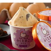 【幻の福地鶏】平飼いふくたまごアイス／ラムレーズン（６個セット） 100ml×6個 果物や野菜などのお取り寄せ宅配食材通販産地直送アウル