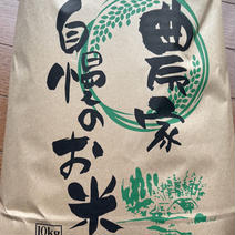 令和6年産　きぬむすめ　玄米　10kg きぬむすめ（玄米）　10kg 果物や野菜などのお取り寄せ宅配食材通販産地直送アウル