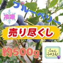 ぷちぷち　限定販売　農家直売新鮮採りたてのブルーベリー 3kg ベリー類の産地直送食材一覧（通販・お取り寄せ）-産直アウル