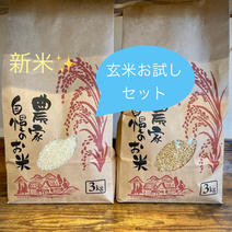 食品 なちゅりー様専用 新米 無農薬コシヒカリ20kg、5分づき10kg＋玄米10kg