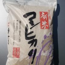 【新米7年産】5kg こしひかり精米後 こしひかり精白米5kg 果物や野菜などのお取り寄せ宅配食材通販産地直送アウル