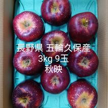 長野県 五輪久保産 秋映 3kg 9玉 3kg 果物や野菜などのお取り寄せ宅配食材通販産地直送アウル