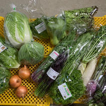 【福袋】旬の野菜セット　淡路島極熟玉葱と旬の野菜 野菜セット 果物や野菜などのお取り寄せ宅配食材通販産地直送アウル