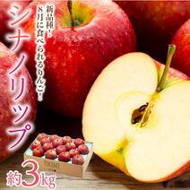 果物の産地直送食材一覧（通販・お取り寄せ・3ページ目）-産直アウル