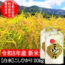 令和8年産新米入荷！お米農家さんから直接購入♪ ｜ 産直アウル 農家