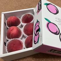 ご贈答用【南アルプスの桃🍑幸茜】減農薬/無肥料/除草剤不使用 ２キロ化粧箱 贈答用２キロ（梱包込み） 果物や野菜などのお取り寄せ宅配食材通販産地直送アウル