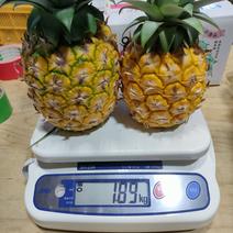 完熟パイナップル 約1.8キロ  約1.8キロ 果物や野菜などのお取り寄せ宅配食材通販産地直送アウル