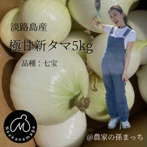 淡路島産 極甘新タマ「七宝」ムキ 5kg 果物や野菜などのお取り寄せ宅配食材通販産地直送アウル