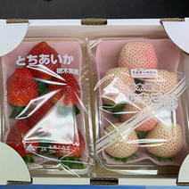 とちあいか（果物＞いちご）の産地直送商品一覧（通販・お取り寄せ