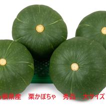 限定３名大特価！島根県産　正規品・栗かぼちゃ（１０㌔） かぼちゃ　10㌔ 果物や野菜などのお取り寄せ宅配食材通販産地直送アウル