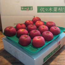 【ギフト用】紅いわて約5kg 約5kg(12~16玉) 果物や野菜などのお取り寄せ宅配食材通販産地直送アウル