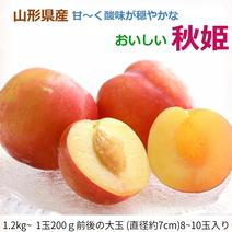 ❹鹿児島県産プラムすもも(農薬不使用) 　　　　箱込み約10キロ その他すもも・プラムの産地直送食材一覧（通販・お取り寄せ）-産直アウル
