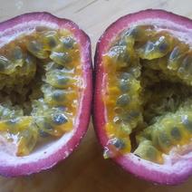 【農薬不使用】冷蔵熟成パッションフルーツ１０玉 １０玉 果物や野菜などのお取り寄せ宅配食材通販産地直送アウル