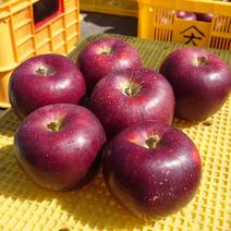 朝採り直送！黒く輝く人気の秋映（あきばえ）家庭用3kg 3kg箱　9玉から11玉 果物や野菜などのお取り寄せ宅配食材通販産地直送アウル