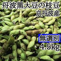 丹波黒枝豆（野菜＞枝豆）の産地直送商品一覧（通販・お取り寄せ