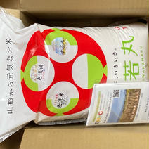 【アウルの日】天日乾燥　はさがけ米　希少品　雪若丸　令和五年産米　5キロ　山形県川西町産 5キロ 果物や野菜などのお取り寄せ宅配食材通販産地直送アウル