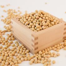 大豆（野菜＞豆類）の産地直送商品一覧（通販・お取り寄せ）-産直アウル