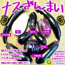 訳あり食材・商品 ｜ 【産直アウル】生産者の応援にも繋がる新鮮食材の