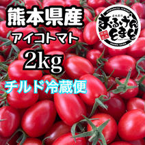 【チルド便】熊本県産 完熟アイコ『おるげんとまと』2kg 2kg 果物や野菜などのお取り寄せ宅配食材通販産地直送アウル