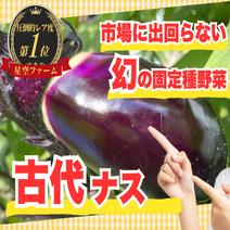 茄子の産地直送商品一覧（通販・お取り寄せ）-産直アウル