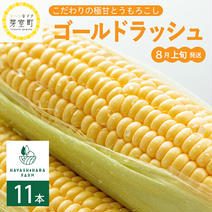 【先行予約】北海道十勝芽室産 極甘とうもろこしの王様 2023年8月中旬発送 11本入り（5kg） ["芽室町", "産地詳細"] 通販