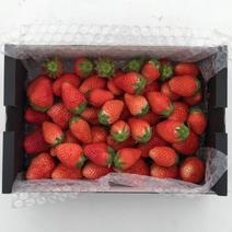 【バラ詰め】大人気！訳ありやよいひめ　2箱 2箱（900g×2） 果物や野菜などのお取り寄せ宅配食材通販産地直送アウル