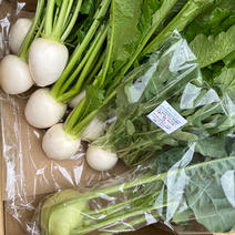 春の根菜セット❕かぶ3袋+おまかせ野菜(ビーツ入り） 5kg前後 果物や野菜などのお取り寄せ宅配食材通販産地直送アウル