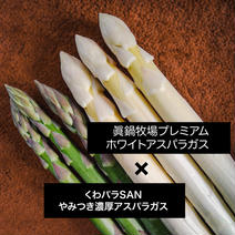 くわパラSAN × 眞鍋牧場 ホワイト！グリーン！アスパラガス1キロ詰め合わせ🔥数量、期間限定🔥 1kg 果物や野菜などのお取り寄せ宅配食材通販産地直送アウル