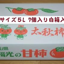 太秋柿の産地直送商品一覧（通販・お取り寄せ）-産直アウル