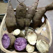 【食べ比べ】3種のサツマイモセット 1kg×3 果物や野菜などのお取り寄せ宅配食材通販産地直送アウル