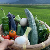 野菜セット・詰め合わせの産地直送食材一覧（通販・お取り寄せ）-産直 