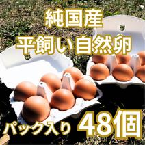 【パック入り｜48個】とれたて純国産平飼い自然卵（有精卵）全て国産・添加物／保存料不使用｜大自然の恵みをそのまま提供 48個 果物や野菜などのお取り寄せ宅配食材通販産地直送アウル
