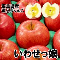 旬の美味しいりんご　福島県産の蜜入り林檎　いわせっ娘10ｋｇ（32～46玉）　ギフト・贈答用 10ｋｇ 果物や野菜などのお取り寄せ宅配食材通販産地直送アウル