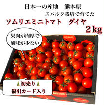 【初売】送料込み②食べ出したら止まらない！ソムリエミニトマト　ダイヤ約2kg（100玉から170玉） 2kg 果物や野菜などのお取り寄せ宅配食材通販産地直送アウル