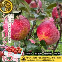 果物の産地直送食材一覧（通販・お取り寄せ・3ページ目）-産直アウル