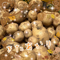 キタアカリの産地直送食材一覧（通販・お取り寄せ）-産直アウル