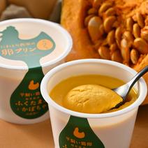 【希少な福地鶏使用】かぼちゃプリン満喫セット（9個セット） 90g×９個 果物や野菜などのお取り寄せ宅配食材通販産地直送アウル