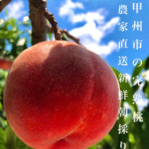 公式】産直アウル｜山梨県の産地直送食材・商品と生産者一覧｜お