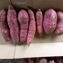 べにあずまの産地直送食材一覧（通販・お取り寄せ）-産直アウル