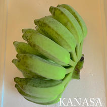 無農薬ナムワ系バナナ（1kg） 1kg 果物や野菜などのお取り寄せ宅配食材通販産地直送アウル