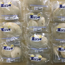 珍しいきのこ！ 王リンギ10p入り 1パック当たり80g程度 果物や野菜などのお取り寄せ宅配食材通販産地直送アウル