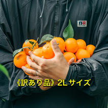 ＹY N商品☘️訳あり商品⚠️ 年末セール+更に10%引きクーポン☆黒ニンニク 訳あり 1kg B品 送料無料