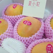 ますみ農園　夏小紅約2キロ（3〜6玉） 2kg（3〜6玉） 果物や野菜などのお取り寄せ宅配食材通販産地直送アウル
