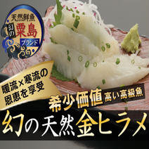 🐟寒流×暖流の恩恵を最大限享受🐟粟島ブランド天然国産金ヒラメ刺身＆しゃぶしゃぶ用カット『4月上中旬』発送開始 ヒラメ約350ｇ 果物や野菜などのお取り寄せ宅配食材通販産地直送アウル