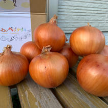 大地の恵み‼️淡路島の完熟玉ねぎ（10kg） 10kg 果物や野菜などのお取り寄せ宅配食材通販産地直送アウル
