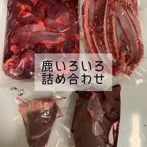 【ペット用】鹿いろいろ詰め合わせ1.64kg 1.64kg 果物や野菜などのお取り寄せ宅配食材通販産地直送アウル