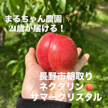 そらのおちり様 家庭用桃3箱 専用ページ そらのおちり