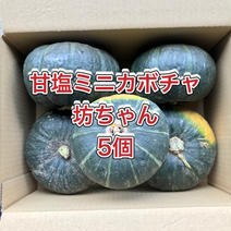 【鹿児島産】甘塩ミニカボチャ（坊ちゃん）5個^_^ 5個 果物や野菜などのお取り寄せ宅配食材通販産地直送アウル
