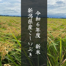 【新米】令和６年産　こしいぶき　５キロ ５キロ 果物や野菜などのお取り寄せ宅配食材通販産地直送アウル